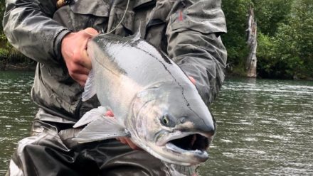 Andy caught this Totally killer silver On his misty pink fly Beautiful photo Lee August/September 2020