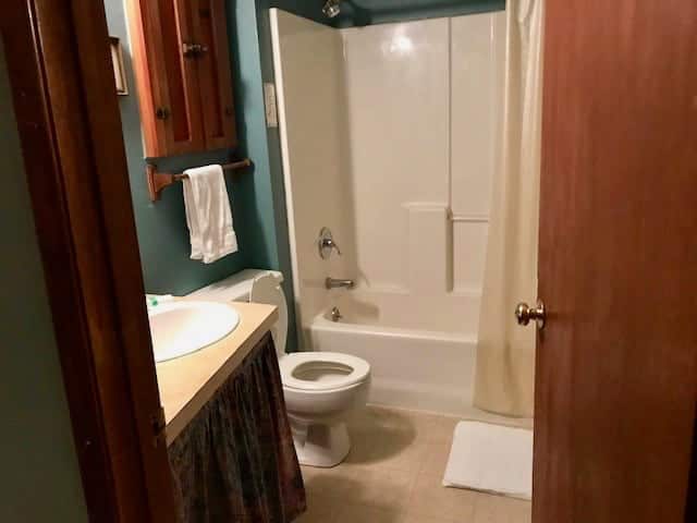 Bathroom with full shower and bath, sink and toilet
