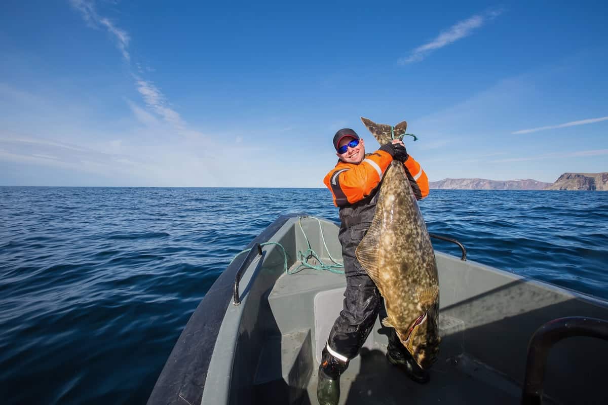 Fisherman holding large halibut